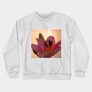 Lily on Orange, studio Pink  Flower close up Crewneck Sweatshirt